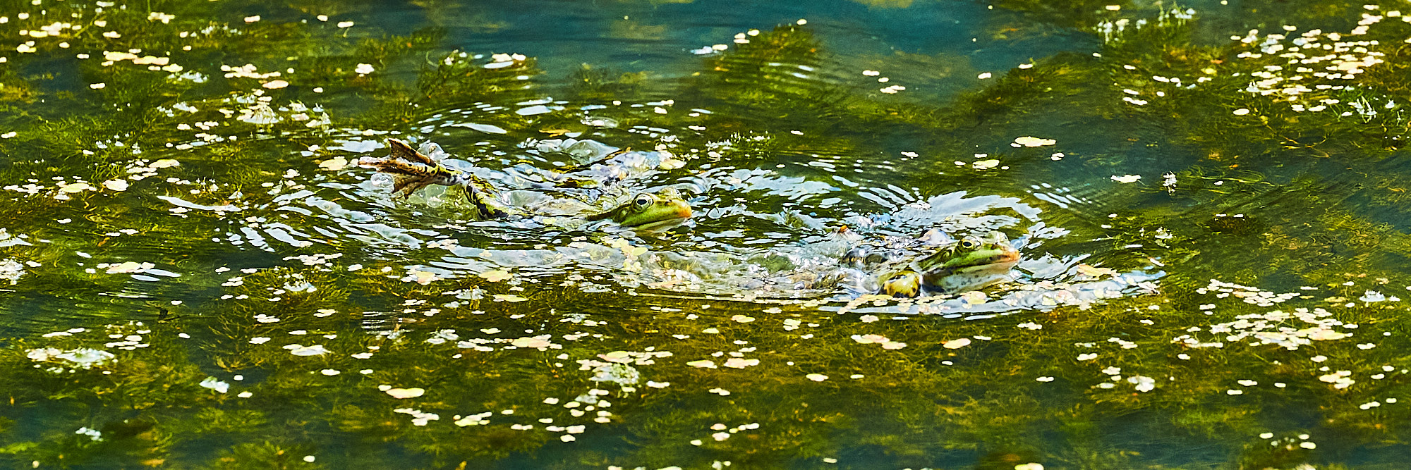Krebs Stoma Selbsthilfe in Buchholz Nordheide